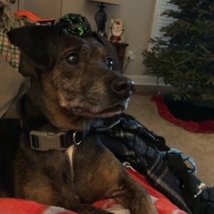 Meet your Posher, Laurenlauren